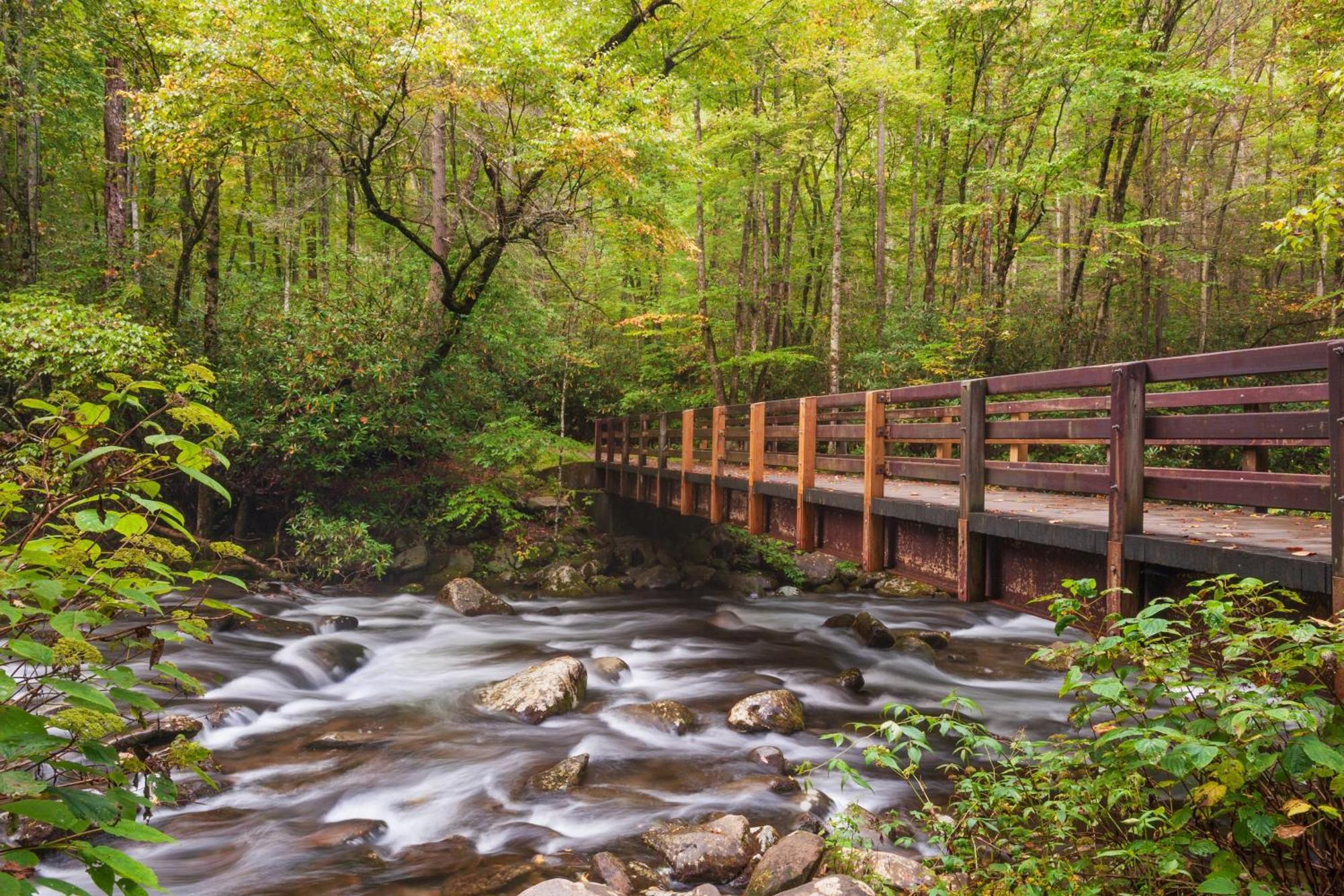 Gritz Carlton, Private Pool, Theater Rm, 1089 Of Free Tickets Each Paid Day, Dollywood And More Сивиървил Екстериор снимка