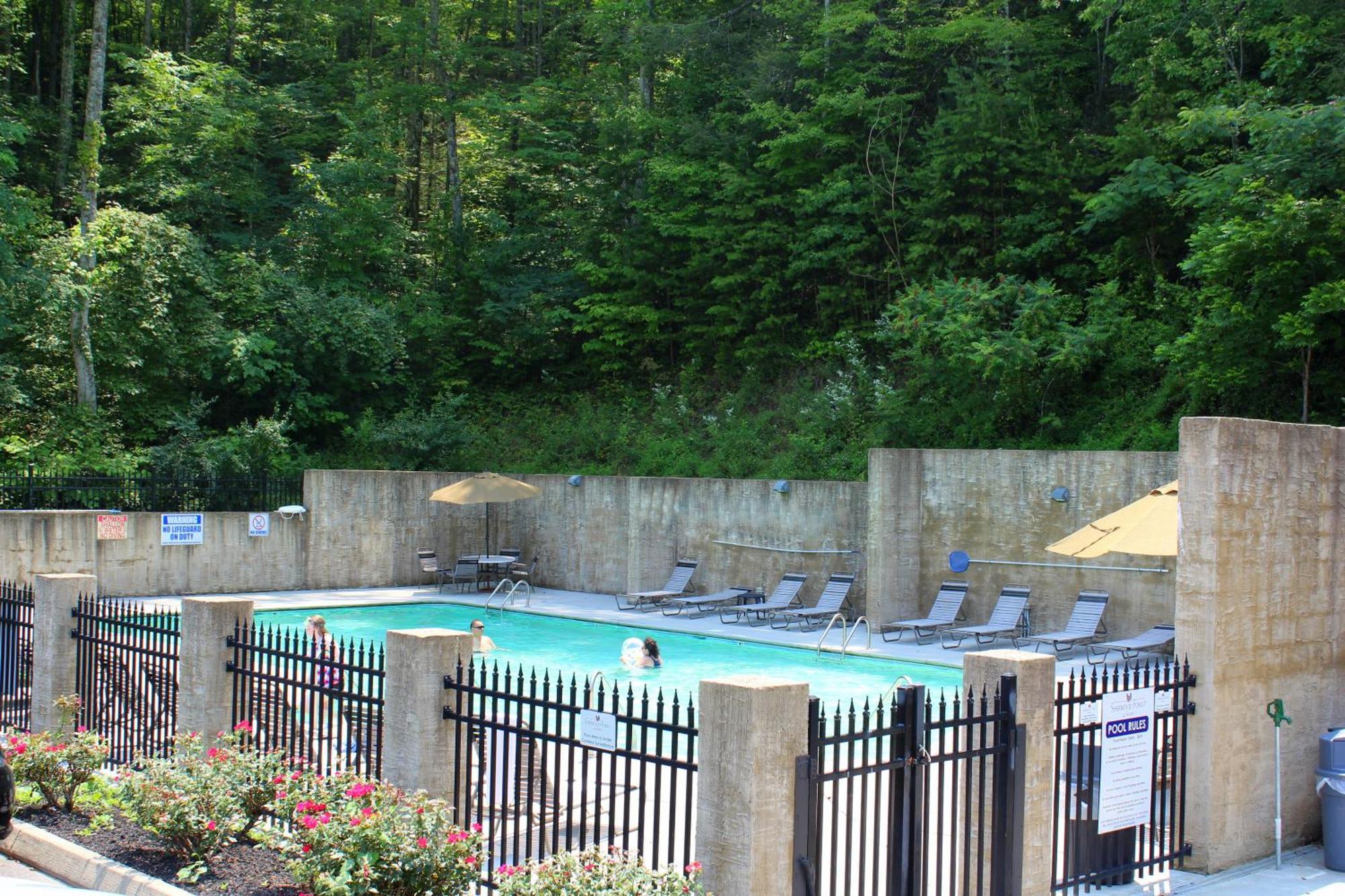 Gritz Carlton, Private Pool, Theater Rm, 1089 Of Free Tickets Each Paid Day, Dollywood And More Сивиървил Екстериор снимка